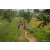 Team 304 / Raid Amazones Sri Lanka 2022 - J1 Trail