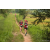 Team 18 / Raid Amazones Sri Lanka 2022 - J1 Trail