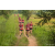 Team 320 / Raid Amazones Sri Lanka 2022 - J1 Trail