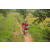 Team 28 / Raid Amazones Sri Lanka 2022 - J1 Trail