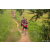 Team 06 / Raid Amazones Sri Lanka 2022 - J1 Trail