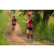 Team 46 / Raid Amazones Sri Lanka 2022 - J1 Trail