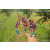 Team 328 / Raid Amazones Sri Lanka 2022 - J1 Trail