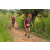 Team 92 / Raid Amazones Sri Lanka 2022 - J1 Trail
