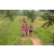 Team 322 / Raid Amazones Sri Lanka 2022 - J1 Trail