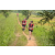 Team 338 / Raid Amazones Sri Lanka 2022 - J1 Trail