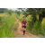 Team 90 / Raid Amazones Sri Lanka 2022 - J1 Trail