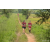 Team 89 / Raid Amazones Sri Lanka 2022 - J1 Trail