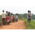 Team 44 / Raid Amazones Sri Lanka 2022 - J1 Trail