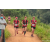 Team 310 / Raid Amazones Sri Lanka 2022 - J1 Trail