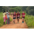 Team 313 / Raid Amazones Sri Lanka 2022 - J1 Trail