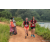 Team 80 / Raid Amazones Sri Lanka 2022 - J1 Trail