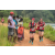 Team 30 / Raid Amazones Sri Lanka 2022 - J1 Trail