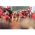 Team 58 / Raid Amazones Sri Lanka 2022 - J1 Trail