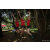 Team 335 / Raid Amazones Sri Lanka 2022 - J1 Trail