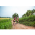 Team 10 / Raid Amazones Sri Lanka 2022 - J1 Trail