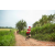 Team 04 / Raid Amazones Sri Lanka 2022 - J1 Trail