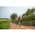Team 324 / Raid Amazones Sri Lanka 2022 - J1 Trail