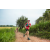 Team 18 / Raid Amazones Sri Lanka 2022 - J1 Trail