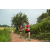 Team 06 / Raid Amazones Sri Lanka 2022 - J1 Trail