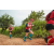 Team 312 / Raid Amazones Sri Lanka 2022 - J1 Trail