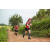Team 318 / Raid Amazones Sri Lanka 2022 - J1 Trail