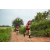 Team 83 / Raid Amazones Sri Lanka 2022 - J1 Trail