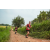 Team 74 / Raid Amazones Sri Lanka 2022 - J1 Trail