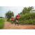 Team 25 / Raid Amazones Sri Lanka 2022 - J1 Trail