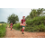 Team 75 / Raid Amazones Sri Lanka 2022 - J1 Trail