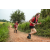 Team 89 / Raid Amazones Sri Lanka 2022 - J1 Trail