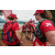 Raid Amazones Sri Lanka 2022 - J1 Trail