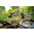 Team 18 / Raid Amazones Sri Lanka 2022 - J1 Trail