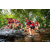 Team 313 / Raid Amazones Sri Lanka 2022 - J1 Trail