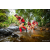 Team 335 / Raid Amazones Sri Lanka 2022 - J1 Trail