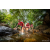 Team 08 / Raid Amazones Sri Lanka 2022 - J1 Trail