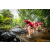 Team 13 / Raid Amazones Sri Lanka 2022 - J1 Trail