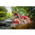 Team 336 / Raid Amazones Sri Lanka 2022 - J1 Trail