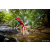 Team 56 / Raid Amazones Sri Lanka 2022 - J1 Trail
