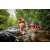 Team 81 / Raid Amazones Sri Lanka 2022 - J1 Trail