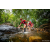 Team 93 / Raid Amazones Sri Lanka 2022 - J1 Trail