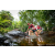Team 87 / Raid Amazones Sri Lanka 2022 - J1 Trail