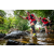 Team 338 / Raid Amazones Sri Lanka 2022 - J1 Trail
