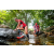 Team 89 / Raid Amazones Sri Lanka 2022 - J1 Trail