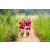 Team 09 / Raid Amazones Sri Lanka 2022 - J1 Trail