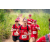 Team 47 / Raid Amazones Sri Lanka 2022 - J1 Trail