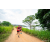 Team 59 / Raid Amazones Sri Lanka 2022 - J1 Trail