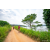 Team 40 / Raid Amazones Sri Lanka 2022 - J1 Trail