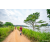 Team 312 / Raid Amazones Sri Lanka 2022 - J1 Trail