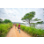 Team 312 / Raid Amazones Sri Lanka 2022 - J1 Trail